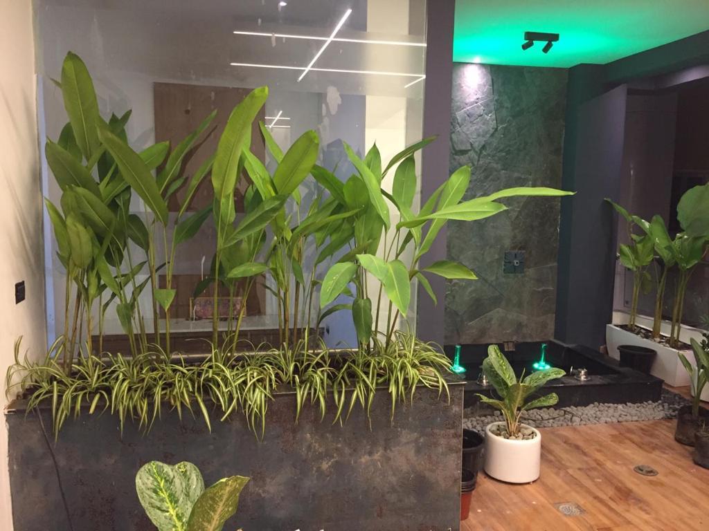 Photo from Nandini(31)